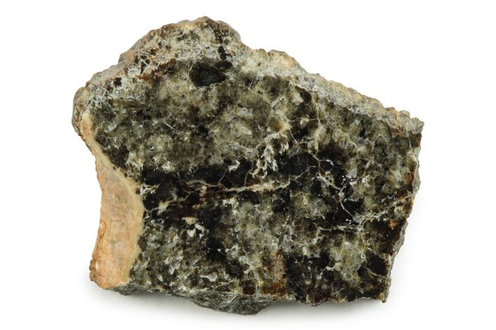 Polished Martian Meteorite Slice ( grams) - Africa #247011